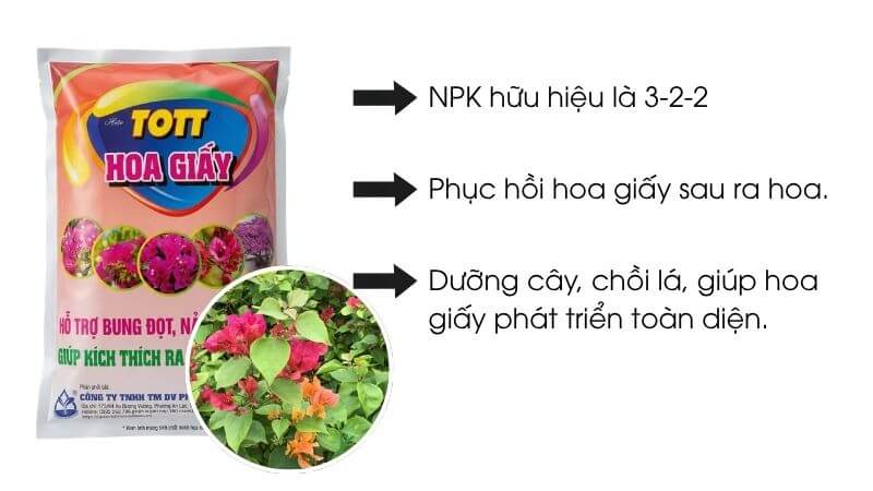 Phân bón hữu cơ cho hoa giấy tott hoa giấy