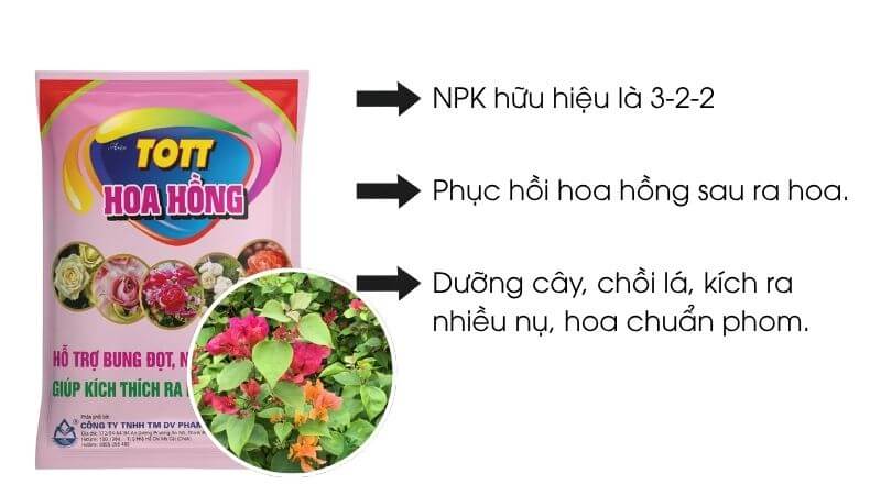 Phân bón hữu cơ chuyên cho hoa hồng Tott hoa hồng