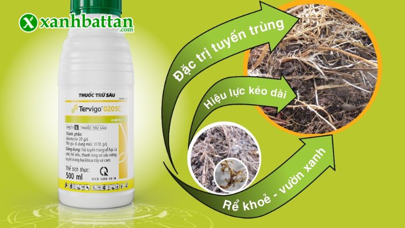Hướng dẫn cách sử dụng và bảo quản sản phẩm Syngenta Tervigo 020SC