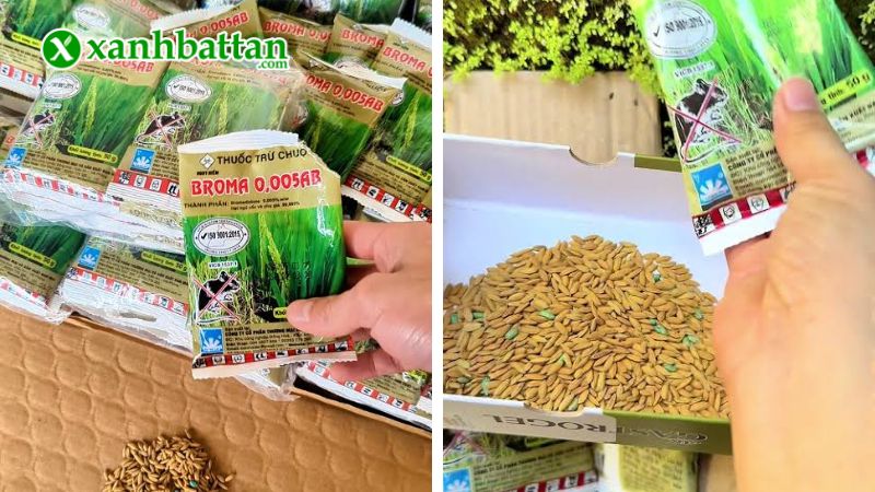 Thuốc diệt chuột sinh học Broma 0,005AB là gì?