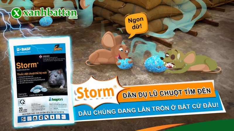 Hướng dẫn cách sử dụng và bảo quản sản phẩm diệt chuột Storm 0,005% Block Bait