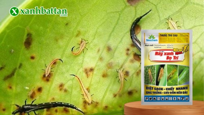 Thuốc trừ sâu hoá học trị bọ trĩ NOFARA 35WG là gì?