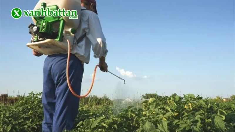 Hướng dẫn cách sử dụng và bảo quản sản phẩm Thuốc Trị Bọ Trĩ NOFARA 35WG