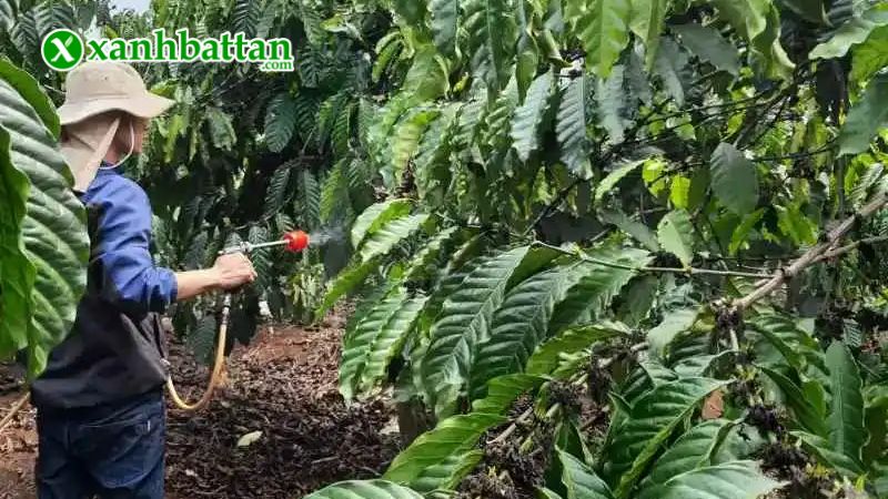 Hướng dẫn cách sử dụng và bảo quản sản phẩm thuốc trị bọ trĩ, rệp sáp Yamida 100 EC