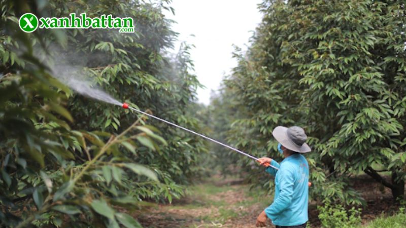 Hướng dẫn cách sử dụng và bảo quản sản phẩm Radiant 60 SC