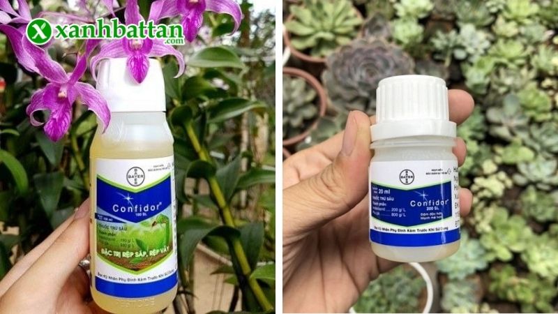 Thuốc đặc trị Bọ trĩ, rệp sáp Confidor 200 SL là gì?