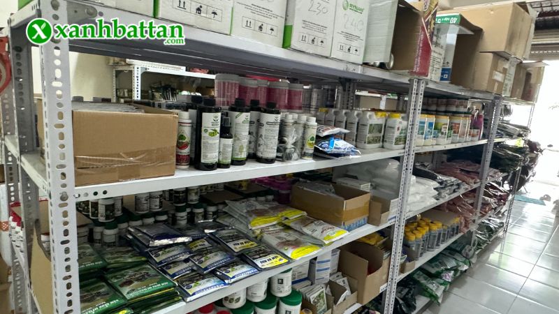 Xanh Bất Tận - Địa chỉ mua thuốc bảo vệ thực vật chất lượng, uy tín tại TP.HCM?