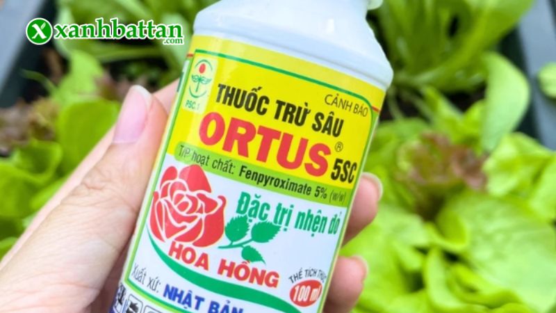 Thuốc đặc trị nhện đỏ Ortus 5SC là gì?