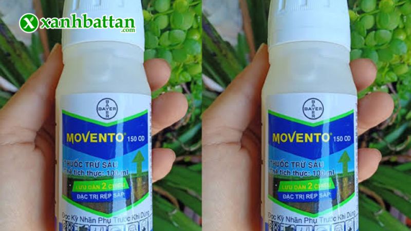 Thuốc đặc trị Rệp sáp, bọ trĩ Movento 150OD là gì?