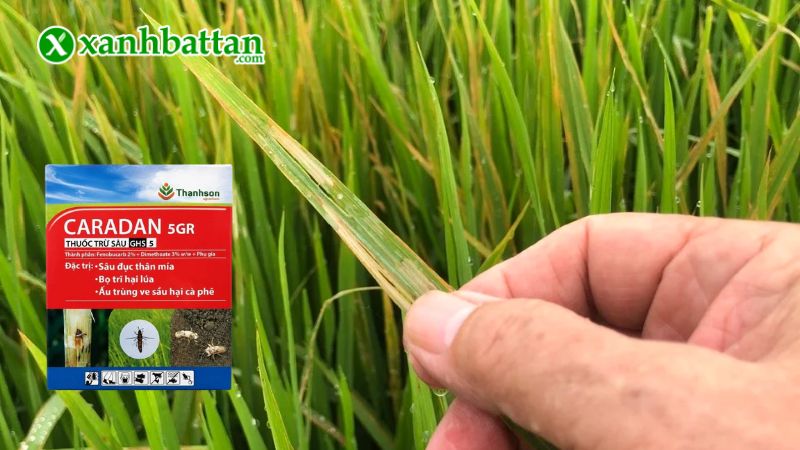 Thuốc trừ sâu dạng hạt CARADAN 5GR là gì?