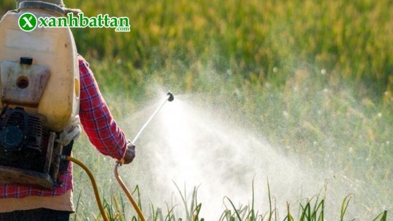 Hướng dẫn cách sử dụng và bảo quản sản phẩm