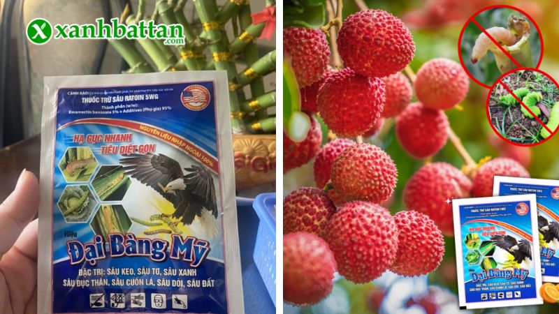 Thuốc trừ sâu sinh học Đại Bàng Mỹ là gì?