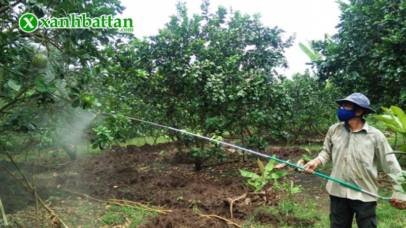 Hướng dẫn cách sử dụng và bảo quản sản phẩm thuốc trừ sâu sinh học Reasgant 3.6EC