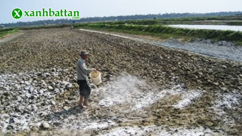 Hướng dẫn cách sử dụng, bảo quản tinh vôi 98 siêu sát khuẩn