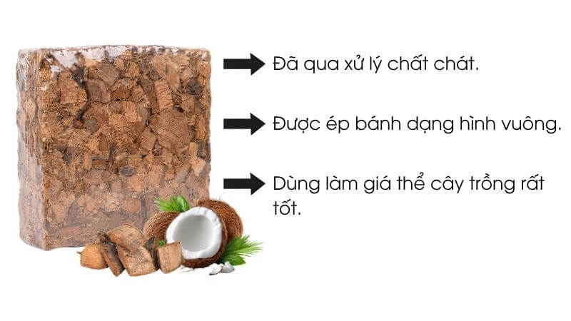 Vỏ dừa cắt đã qua xử lý coco husk chip