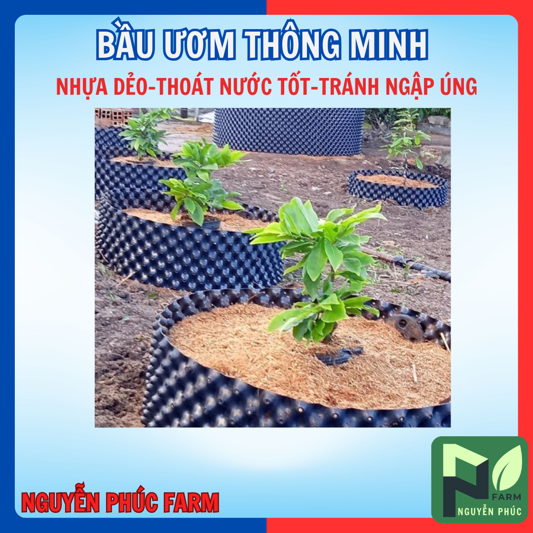 [Cuộn 50m] BẦU ƯƠM THÔNG MINH - CÓ VÍT KÈM THEO -KÍCH THƯỚC CHIỀU CAO TỰ CHỌN-bầu ươm nhựa dẻo đen thoát nước tốt, đa dụng - 30CM