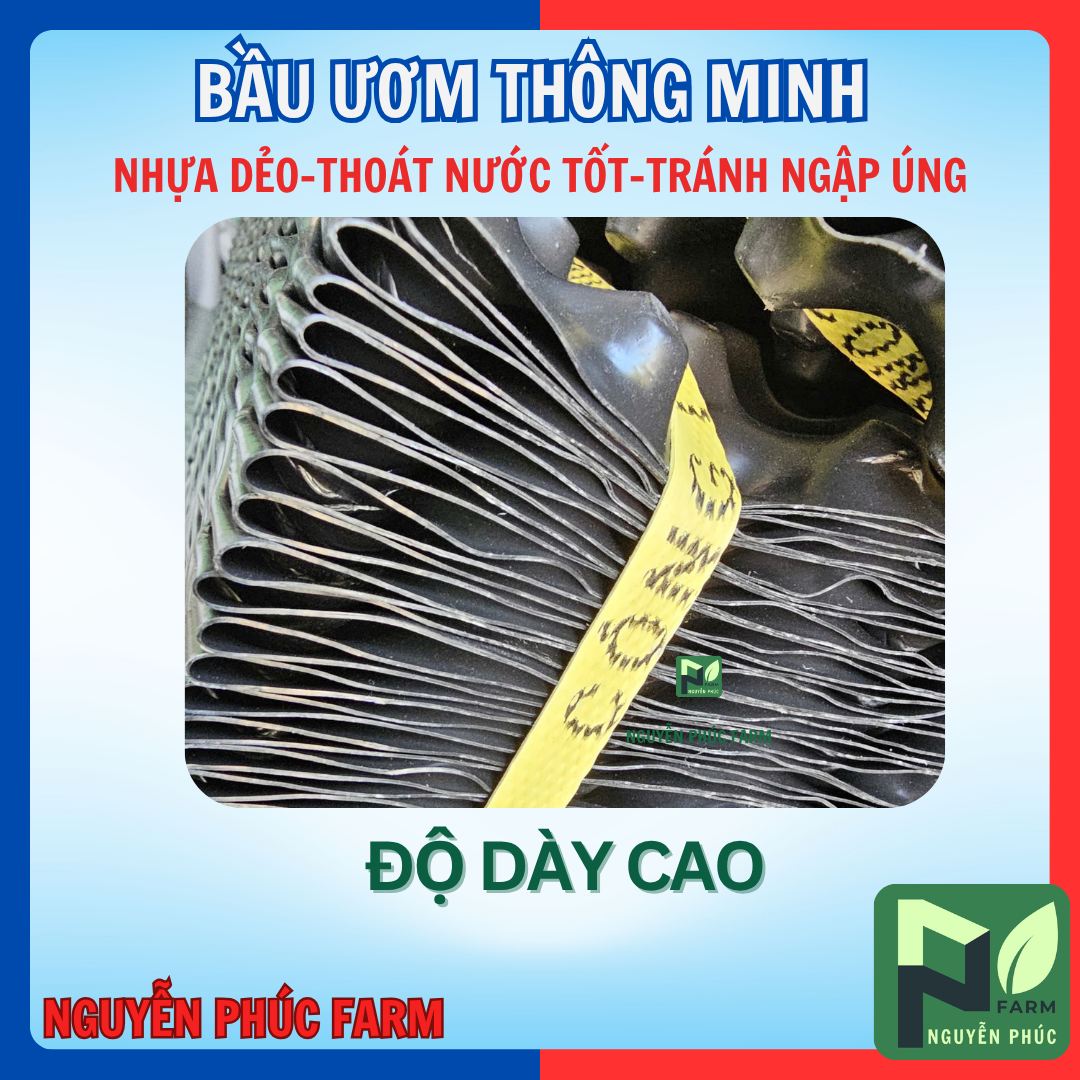 [Cuộn 50m] BẦU ƯƠM THÔNG MINH - CÓ VÍT KÈM THEO -KÍCH THƯỚC CHIỀU CAO TỰ CHỌN-bầu ươm nhựa dẻo đen thoát nước tốt, đa dụng - 30CM