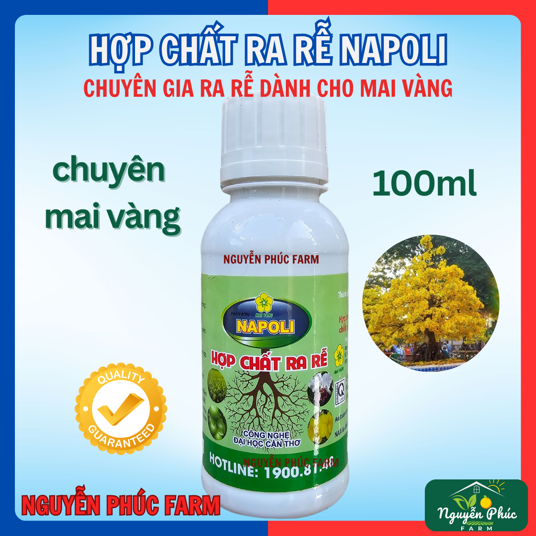 Hợp Chất Ra Rễ Napoli cho Mai Vàng (100ml)-Kích rễ mai, phục hồi mai sau tết