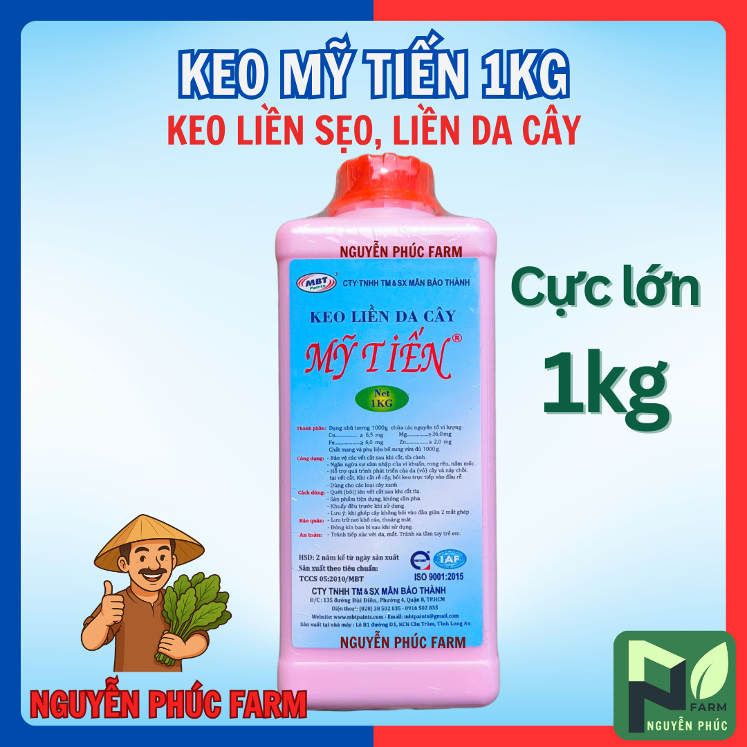 Keo Mỹ Tiến, Keo Liền Sẹo, Liền Da Cây chai cực lớn 1kg - Mặc định