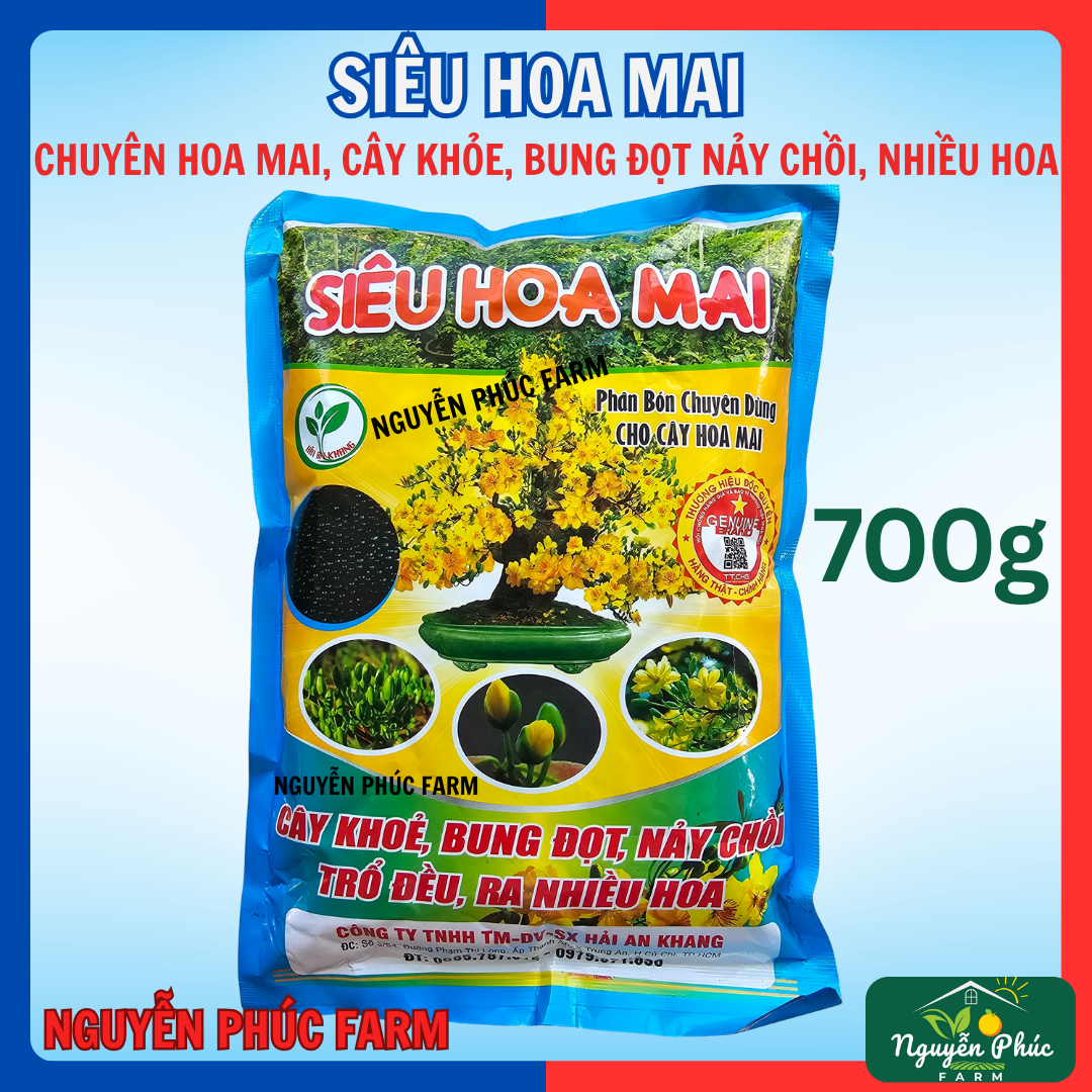 SIÊU HOA MAI gói 700g cây khỏe, bung đọt, nảy chồi, nhiều hoa, bông đẹp