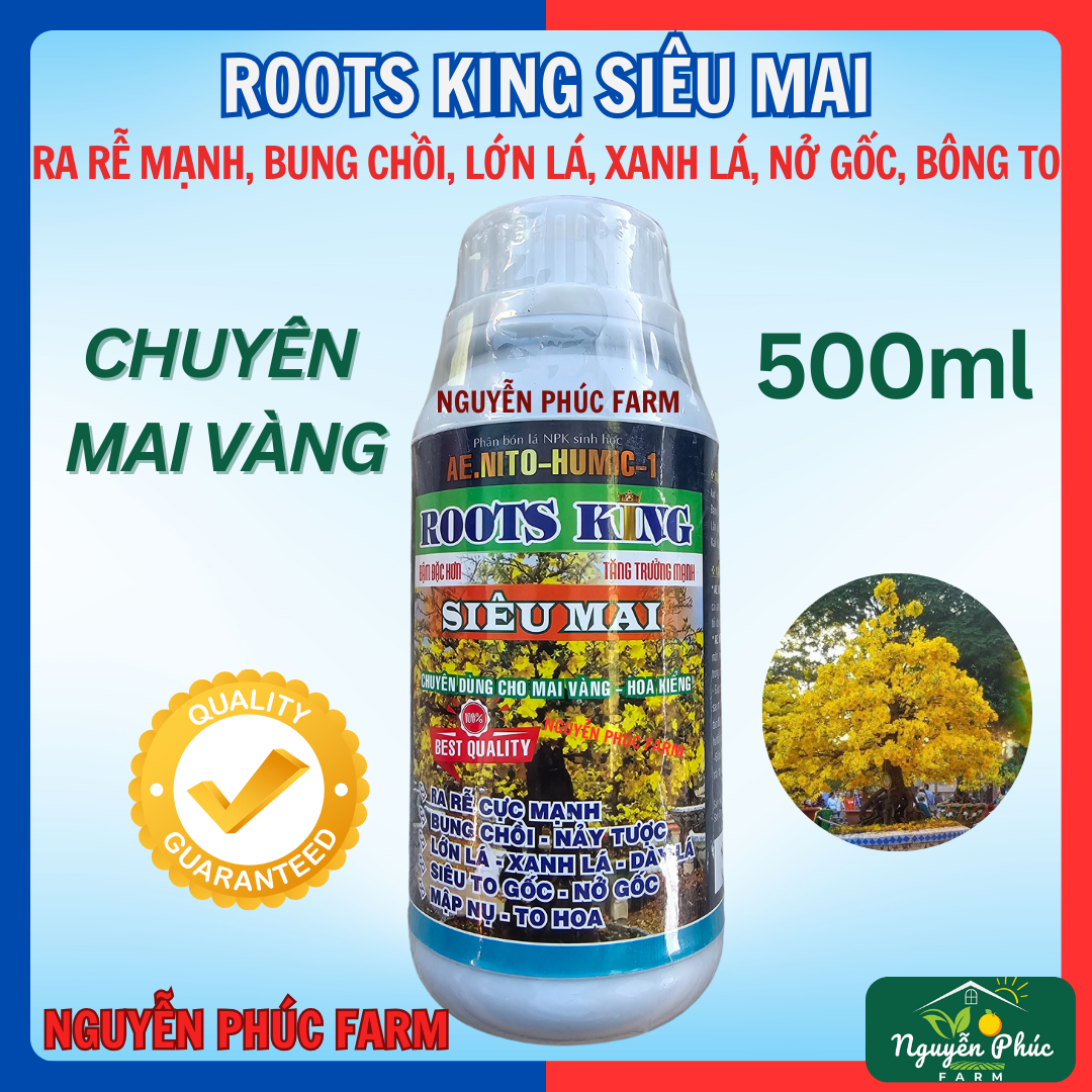 Siêu Mai Roots King, phân bón Max root bung đọt ra rễ cực mạnh cho mai vàng, hoa kiểng