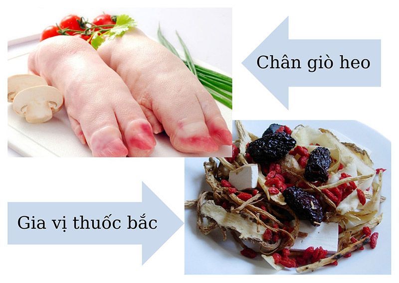 Nguyên liệu chính để làm chân giò hầm thuốc bắc cho bà bầu