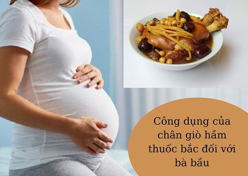 Công dụng của chân giò hầm thuốc bắc cho bà bầu