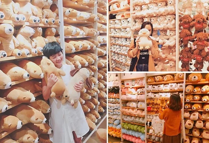 Chụp với thú bông