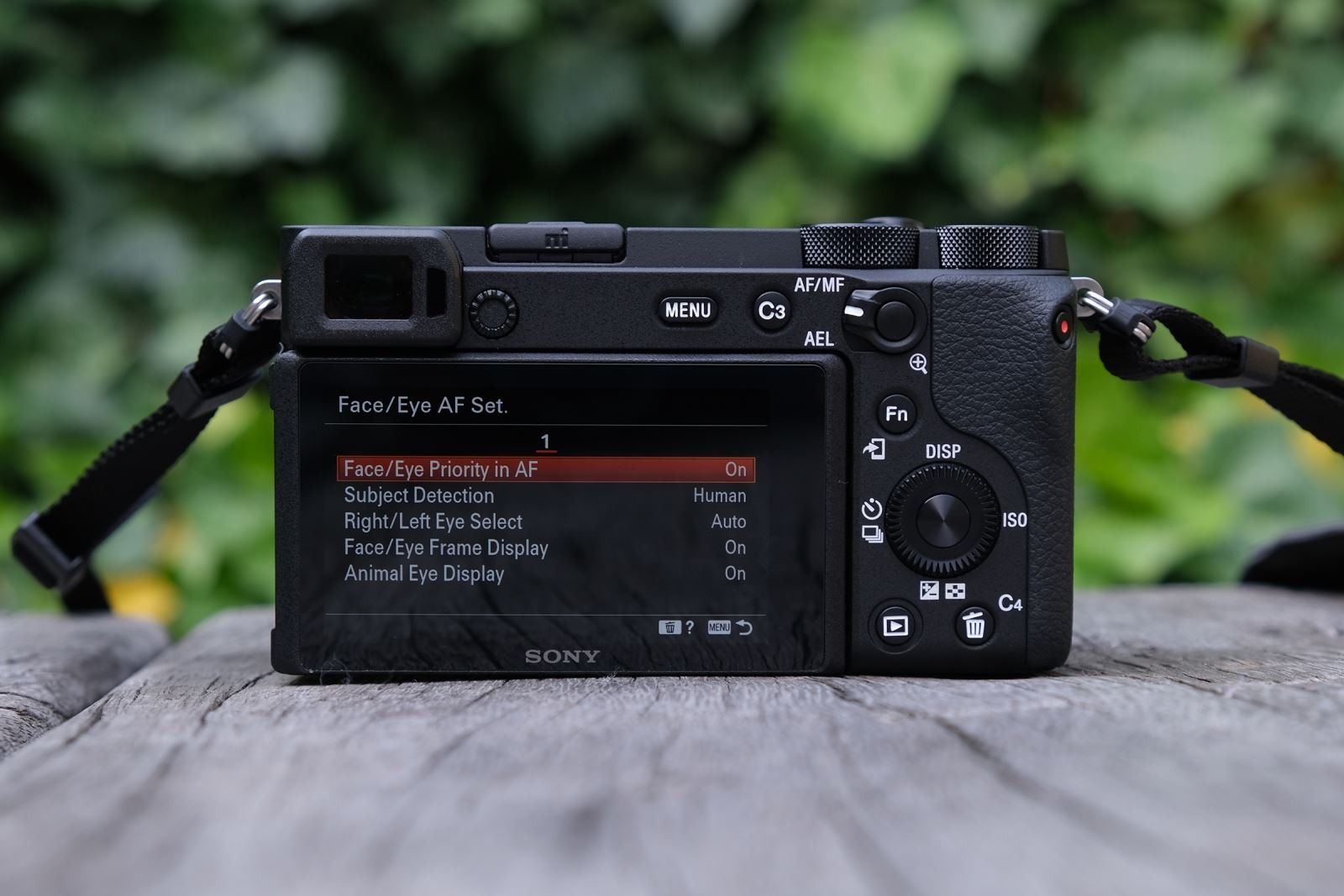 Sony A6600 – Tốc độ, ổn định và lấy nét vượt trội