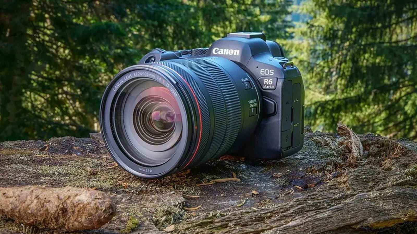Canon EOS R6 – Hiệu năng mạnh mẽ trong thân máy nhỏ gọn
