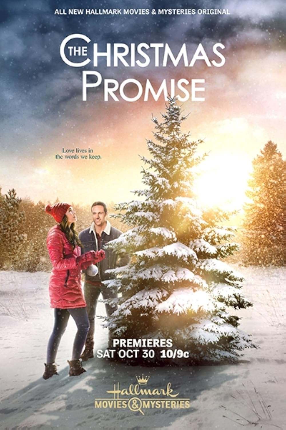 A Christmas Promise