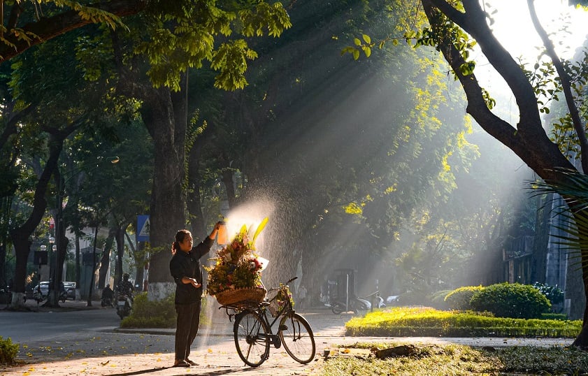 Đường Phan Đình Phùng - Địa điểm check-in nên thơ giữa lòng thủ đô