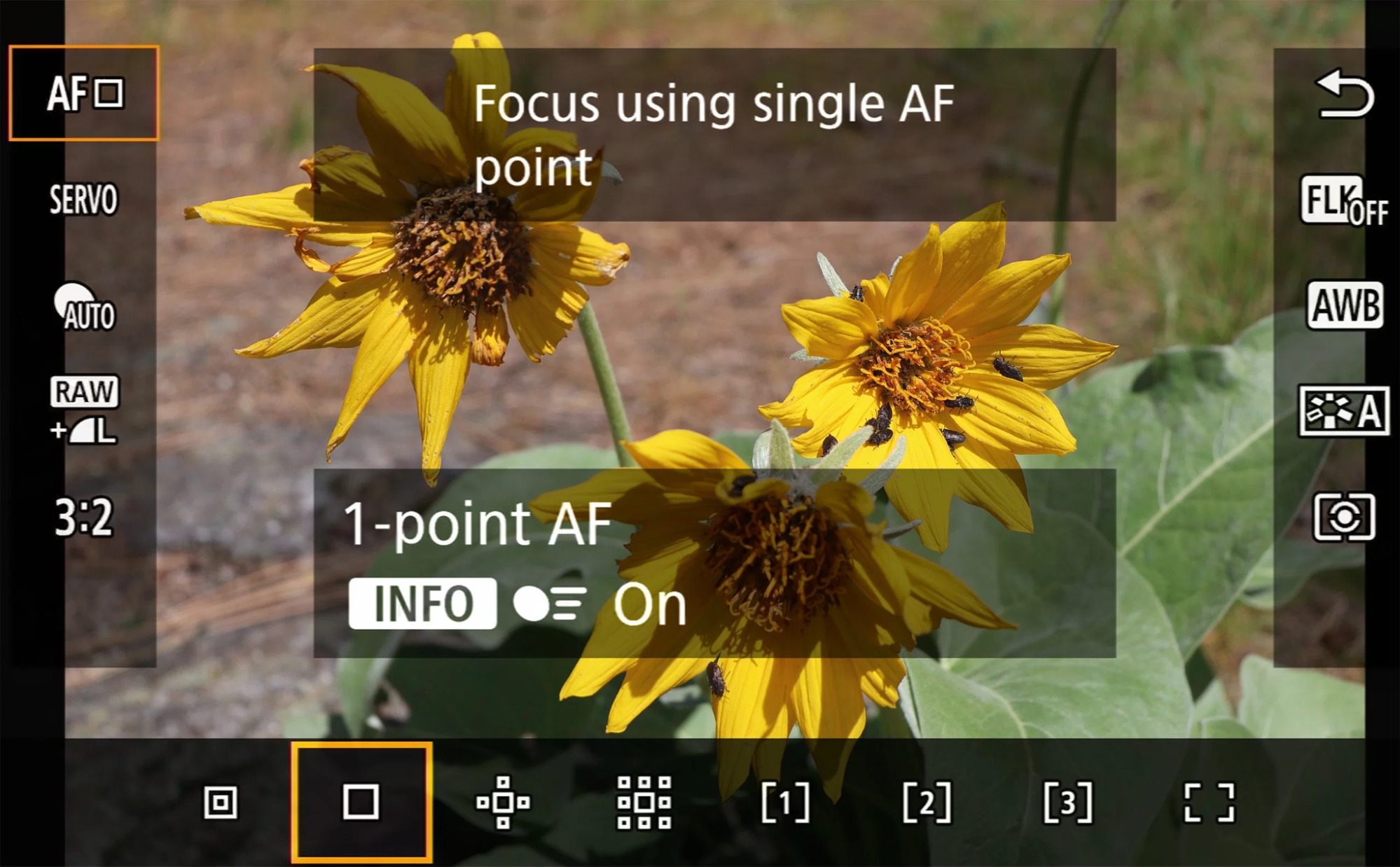 AF-S (Single AF) - Giải pháp cho chủ thể tĩnh