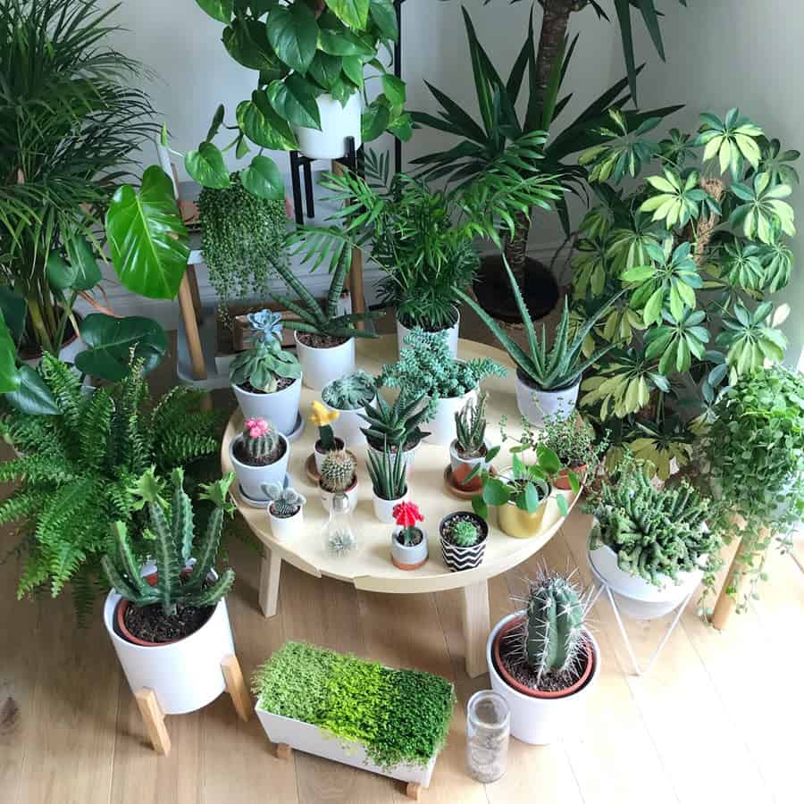 Quà tặng 8/3 ý nghĩa cho cô giáo
