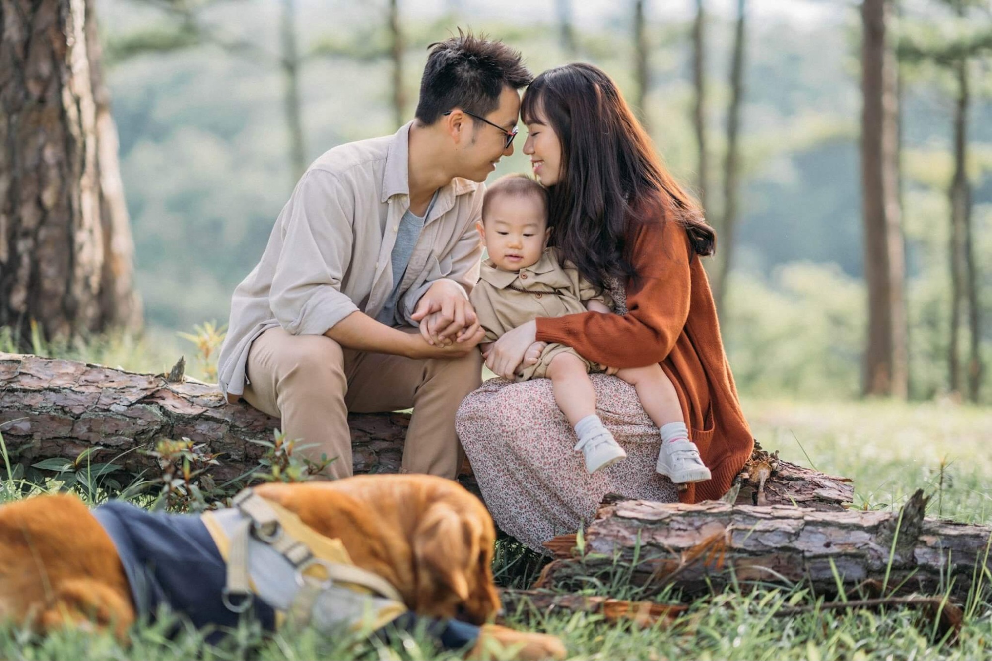 Cả gia đình cùng thú cưng trong công viên