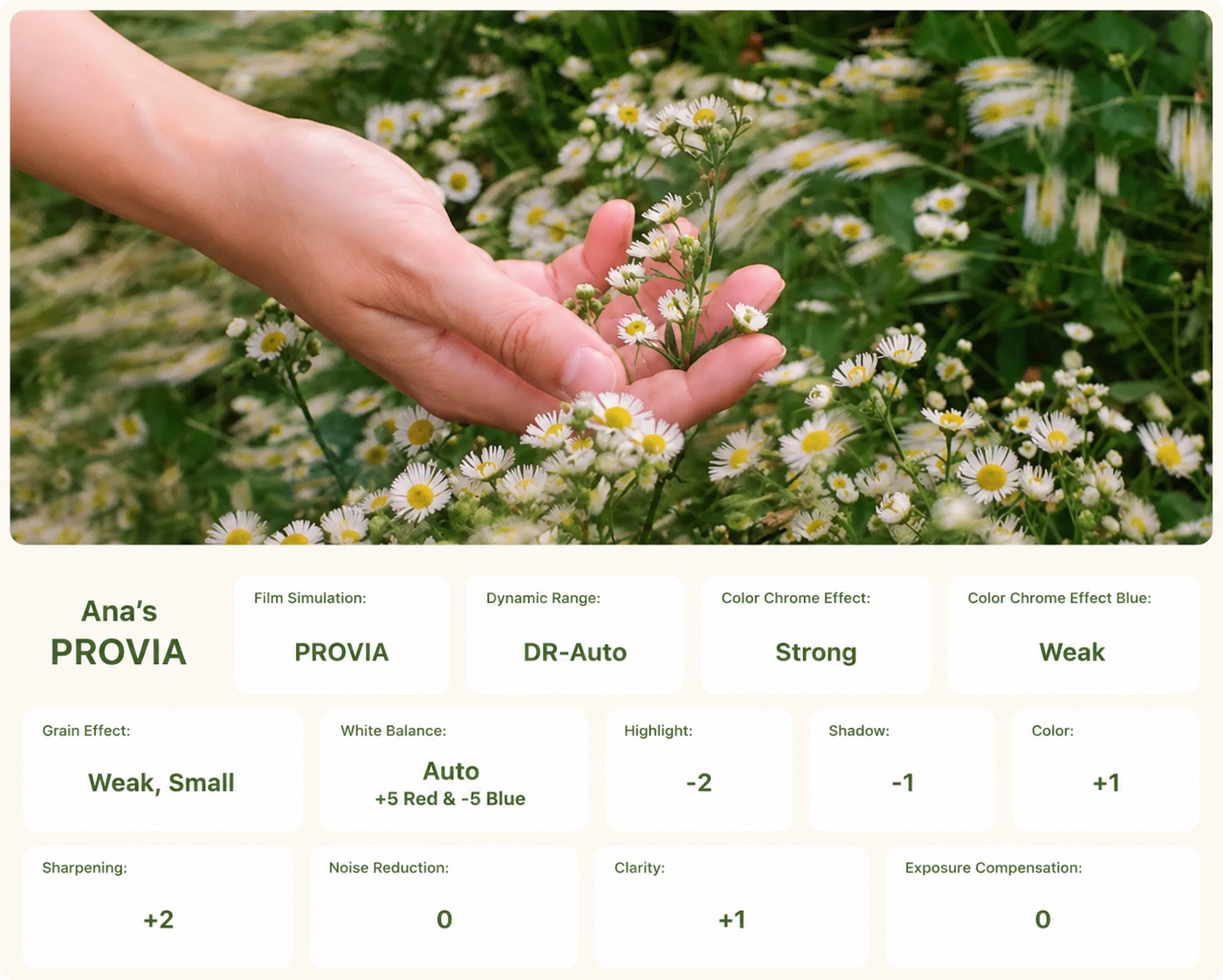 Ana’s PROVIA