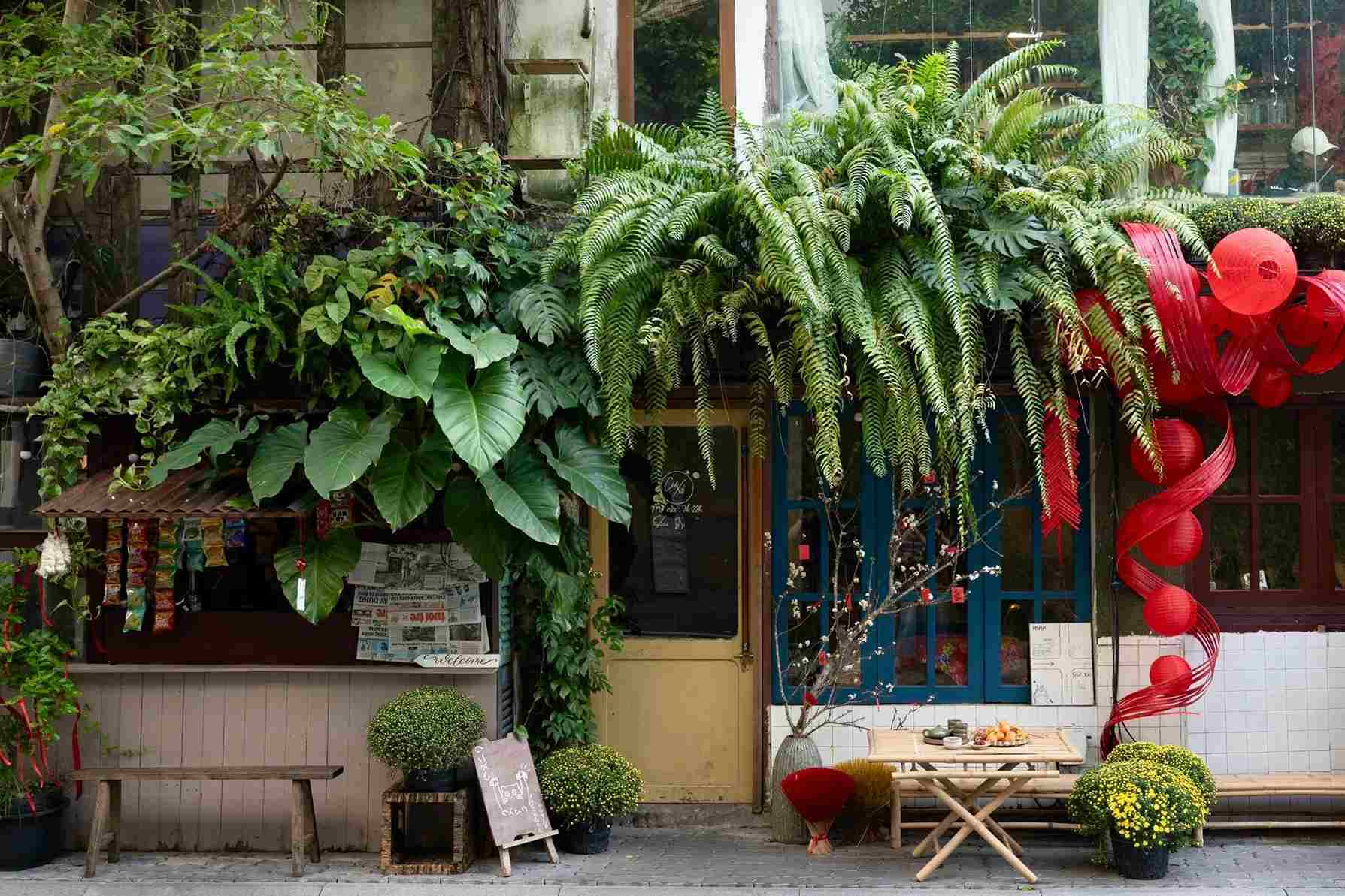 Cư Xá - Trà Bánh Cà Phê: quán cafe trong hẻm đầy cây xanh