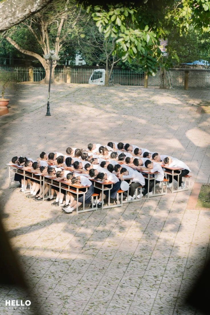 Tạo dáng ngủ trên bàn trong sân trường
