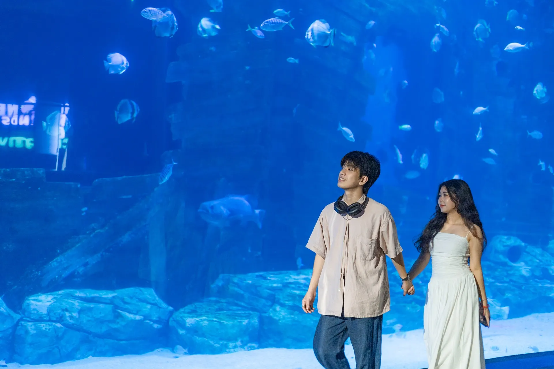 Thủy cung Lotte Mall Tây Hồ - Gợi ý vui chơi trong nhà cực thích hợp