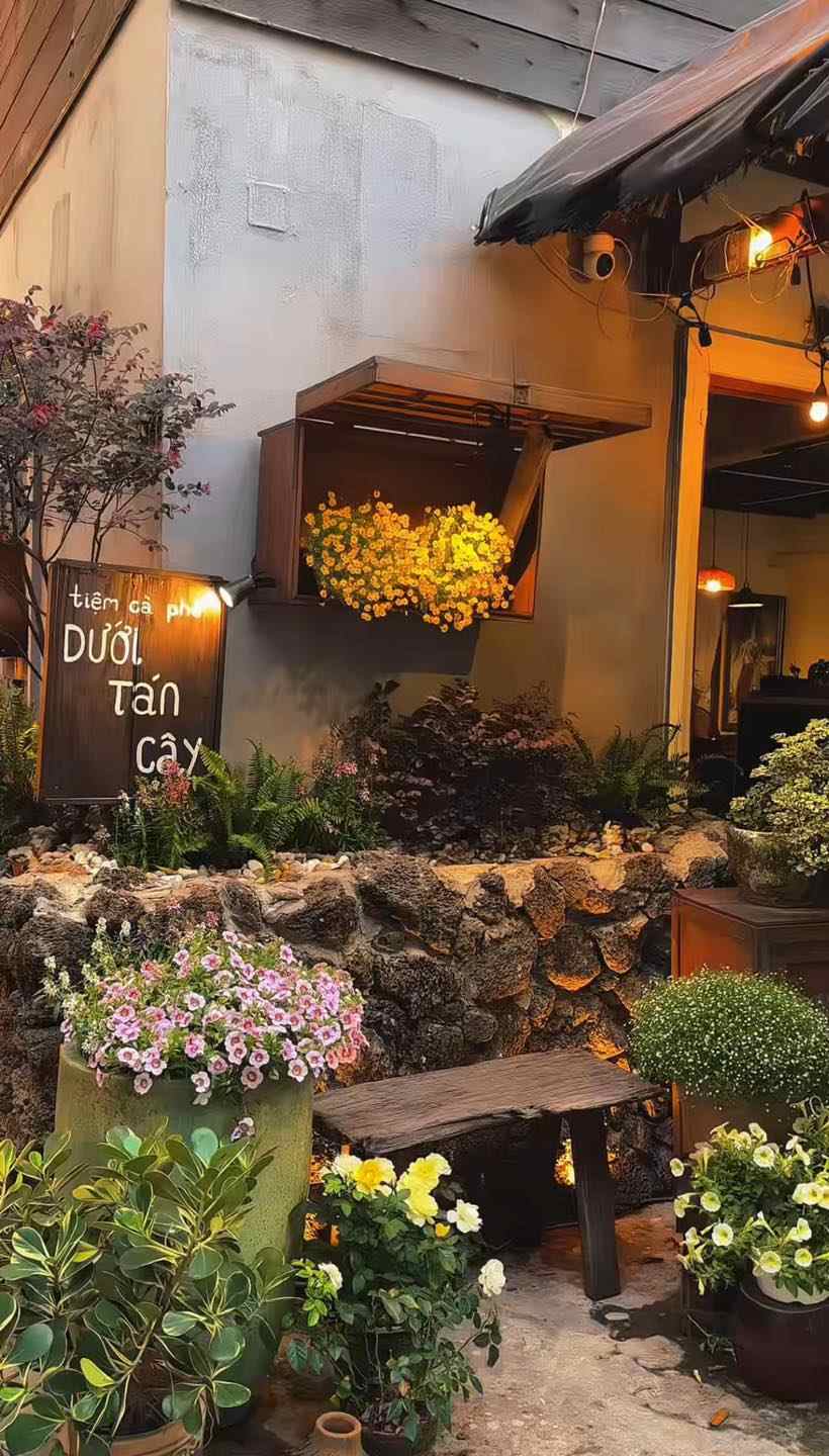 Tiệm Cà Phê Dưới Tán Cây