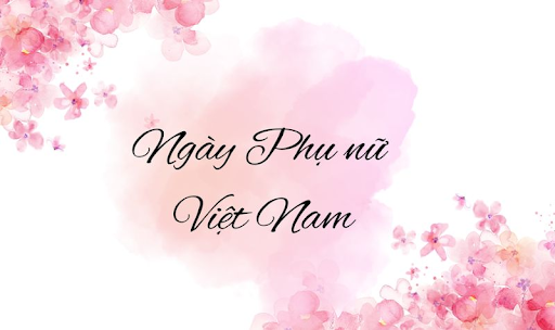 background màu hồng mẫu 4