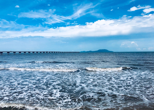 Bãi biển Khai Long sở hữu những đặc trưng của vùng ngập mặn