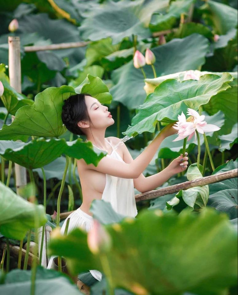 Bỏ túi một số kinh nghiệm cơ bản khi chụp sen