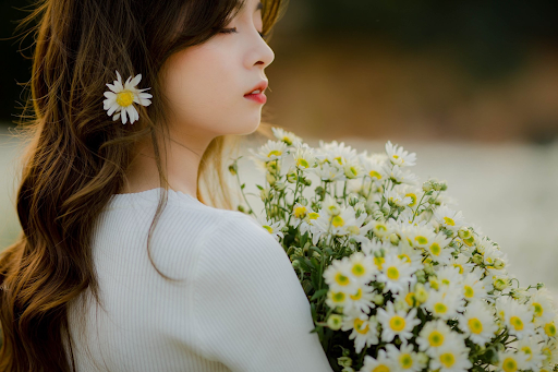 Bỏ túi ngay 7 địa điểm chụp cúc họa mi tại Hà Nội