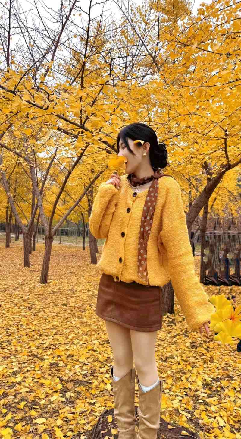 Cây lá rụng trong mùa đông tạo nên background rất “nghệ”