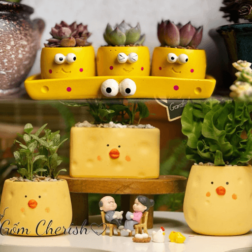 Chậu cây cảnh nhỏ xinh