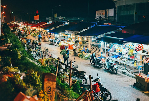 Địa điểm chụp hoa đẹp ở Hà Nội về đêm được nhiều bạn trẻ ưa thích