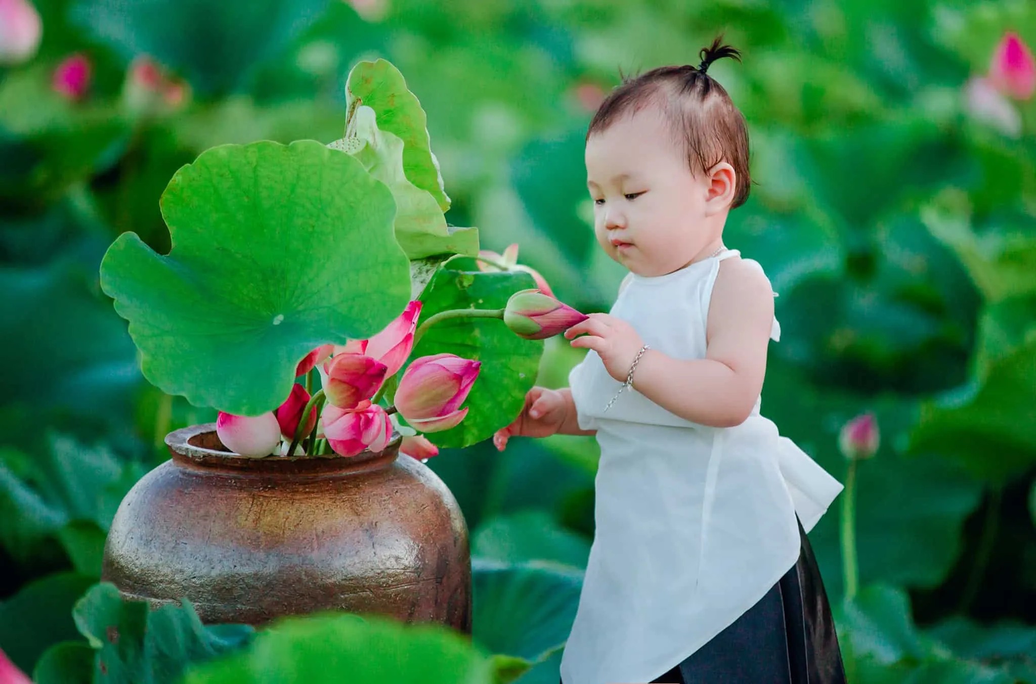 Địa điểm chụp sen ở Hồ Chí Minh