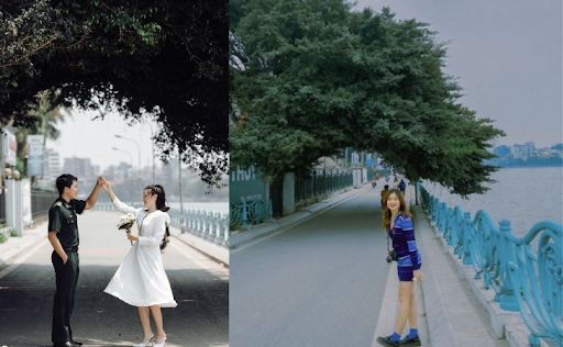 Đừng bỏ qua“Vòm cây tình yêu” nổi tiếng ở hồ Tây nha