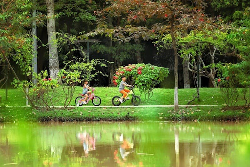 Khu đô thị Ecopark là điểm dã ngoại gần Hà Nội lý tưởng của nhiều gia đình và nhóm bạn trẻ